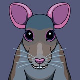 Ratface by Mattfurie