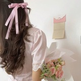 ˚⋆𐙚｡ Sugarblush Diaries 𖦹.ᡣ𐭩˚