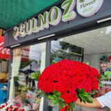 𝐆𝐔𝐋𝐍𝐎𝐙 𝐅𝐋𝐎𝐖𝐄𝐑𝐒🌹🌸🌷💐