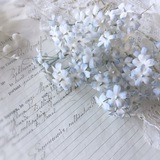 ! .ᐟ 𝙨𝙚𝙖𝙧𝙚𝙘𝙚𝙞𝙥𝙩 ♡