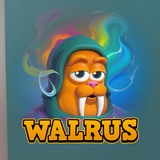 Walrus By Matt Furie