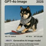 OpenAl DOG CTO