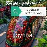 Клубника в Чите