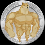 Swole Doge Portal