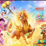 N1国际 官方活动通知