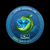 ICM-Cryptocurrency Chat