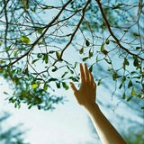 تبلیغات آرامش