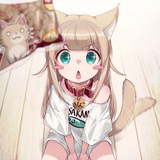 Kitty Network
