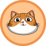 O'Malley The Cat Portal