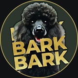 CHAPPY: THE PRESIDENTIAL CRYPTO DOG