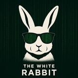 THE WHITE RABBIT