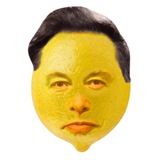 Lemon Musk