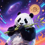 XMXM官方共识群