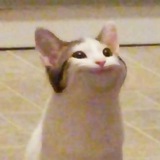 POPCAT BSC