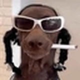 dawgct0