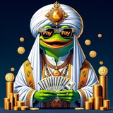 PAYPAY - 5% SOLANA REWARDS - Community Channel