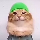$TABIBI
