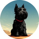 Toto Channel