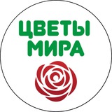 Цветы мира | Цветы Сургут