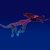 Dogdragon portal