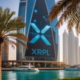 XRP Ledger