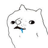Retard Doge Coin