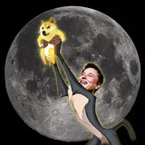 DOGE TO MOON Official