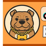 $BIGGIE the American bully