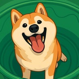 World's Most Expensive Shiba