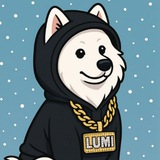 Lumi