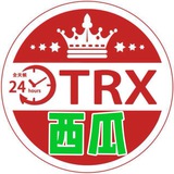 西瓜0.1→TRX免费转U（看置顶）❤️