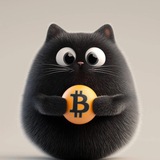 Bitcat