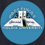 Woldiya University