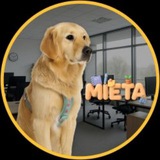 Ethereum Dog $MIETA