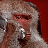 MonkePhone Portal