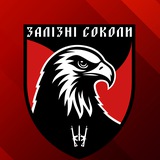 Залізні соколи | 67 ОМБр