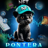 PONTERA | NFT
