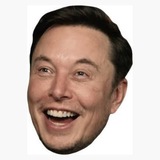 Elon Troll Face