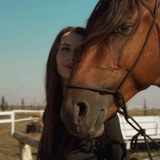 Sweet horse
