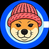 DOGWIFHAT | PORTAL