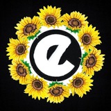 Ella Tech || Free internet
