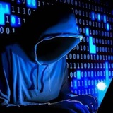 1号专业渗透数据