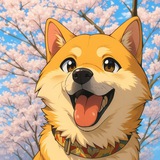 SHIBAKOMA || Most Famous Shiba Inu on Tiktok