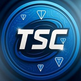 TON STRATEGY Co