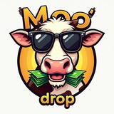 MooDrop | Дропшиппинг | Одежда | Обувь | Магазин