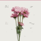 ♡. daily hush: where small things feel sacred 🪷