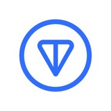 TON Strategy Co. (NASDAQ: VERB)
