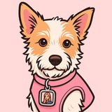 Hank - Rosè Blackpink