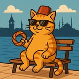 MEOWSTANBUL