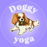 Doggy yoga
